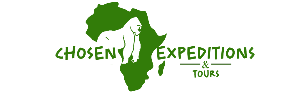 Chosen Expeditions and Tours Limited