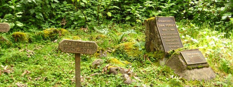 2671246876_e1ca64c3e4_c (1)