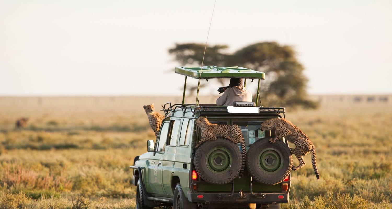 Game-drives-in-Maasai-Mara-National-Reserve